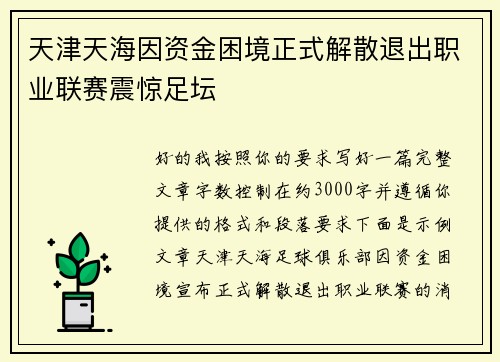天津天海因资金困境正式解散退出职业联赛震惊足坛