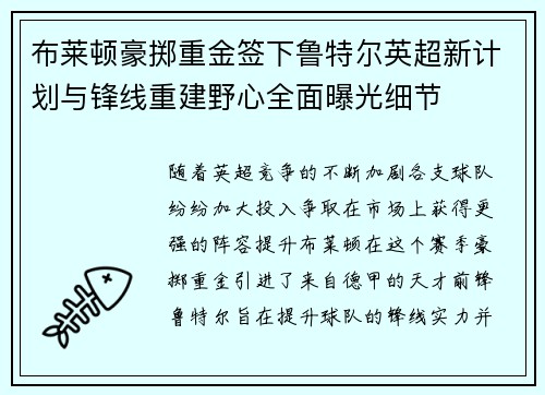 布莱顿豪掷重金签下鲁特尔英超新计划与锋线重建野心全面曝光细节